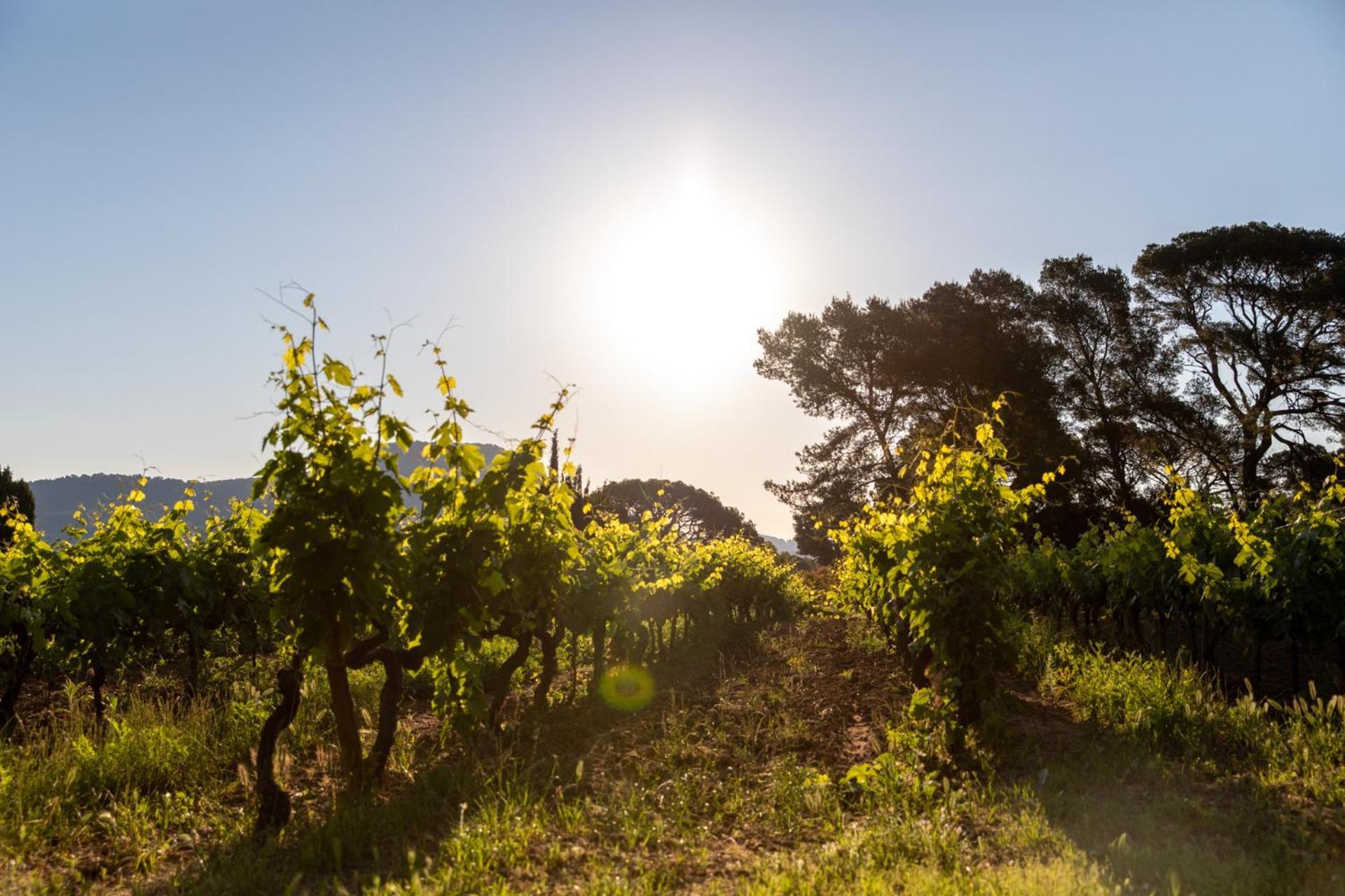 Domaine De La Navicelle Villa Льо Праде Екстериор снимка