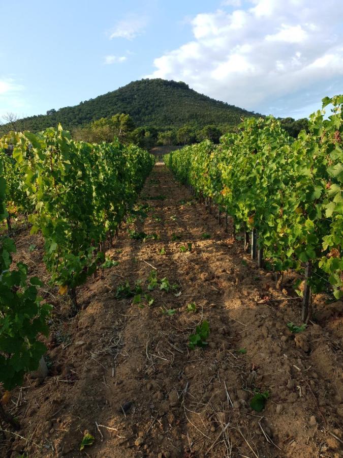 Domaine De La Navicelle Villa Льо Праде Екстериор снимка
