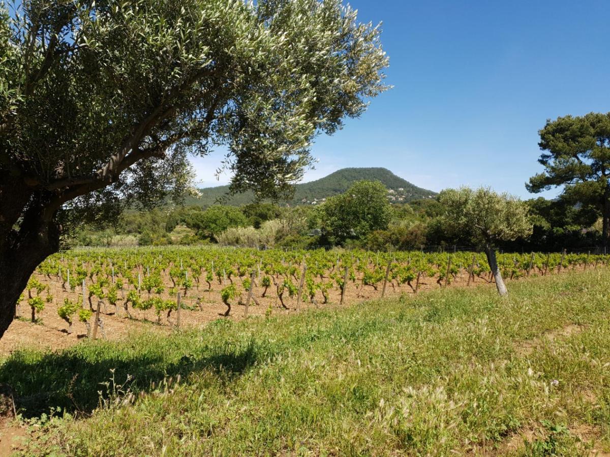 Domaine De La Navicelle Villa Льо Праде Екстериор снимка
